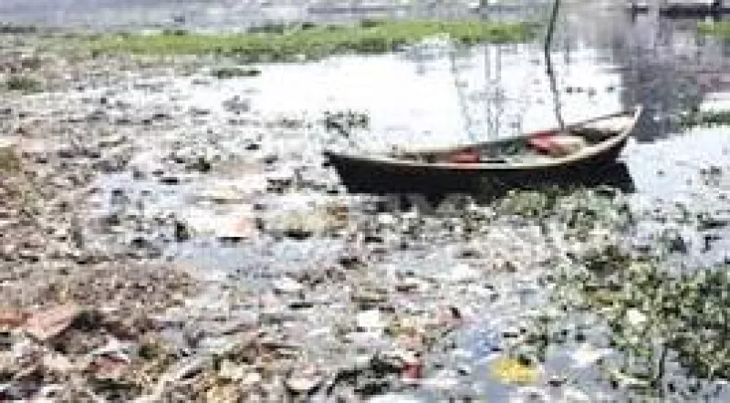 article