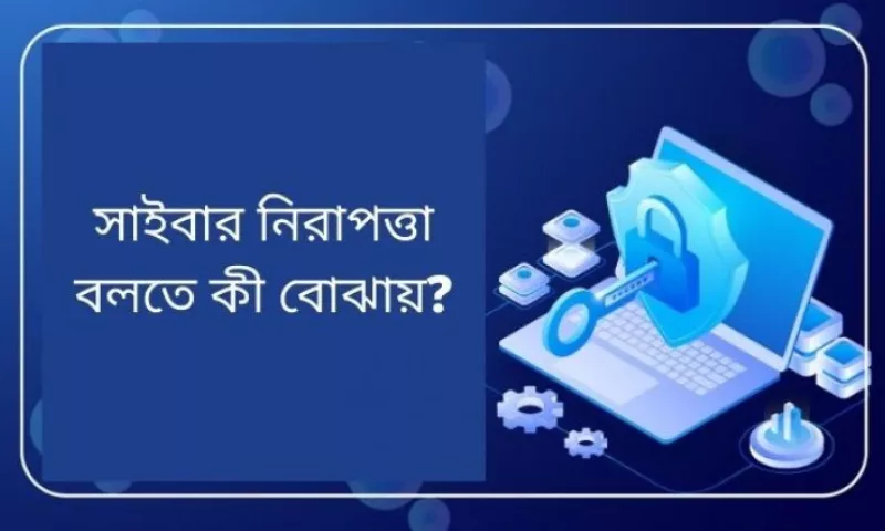 article