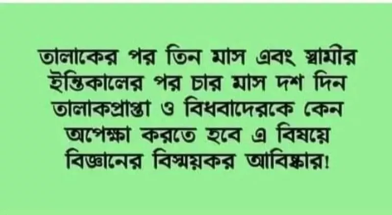 article