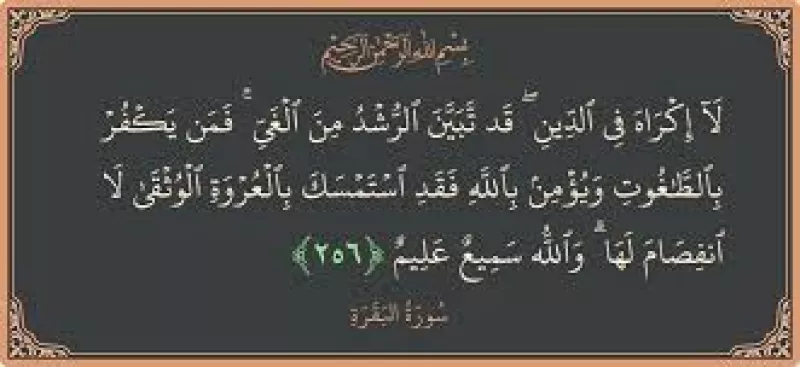 article