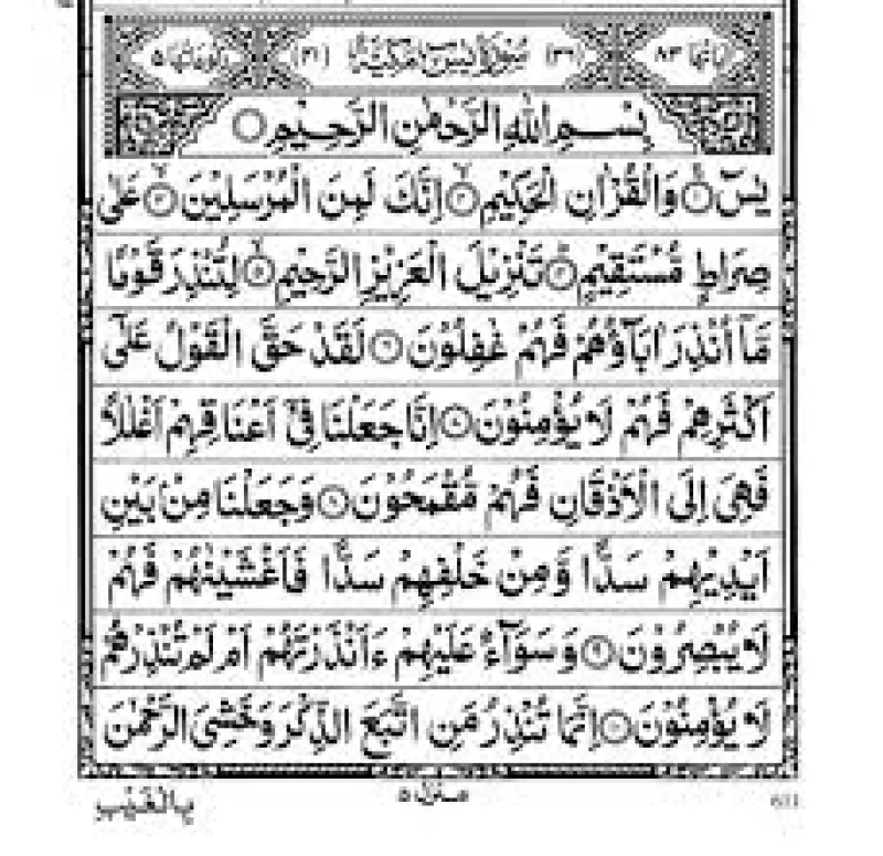 article