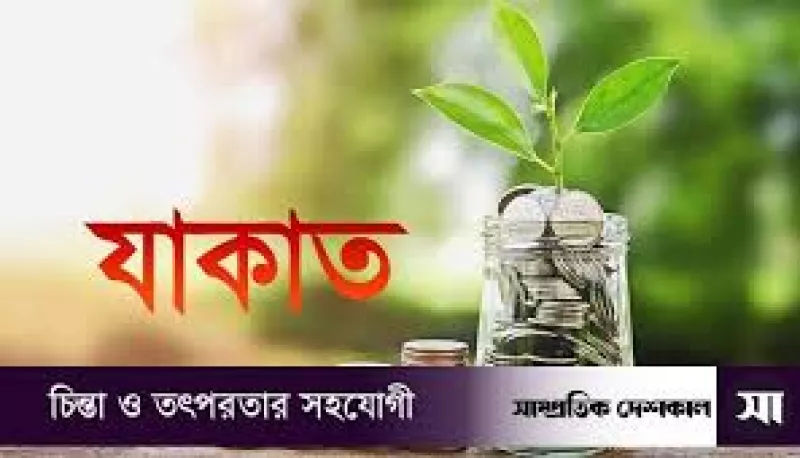 article