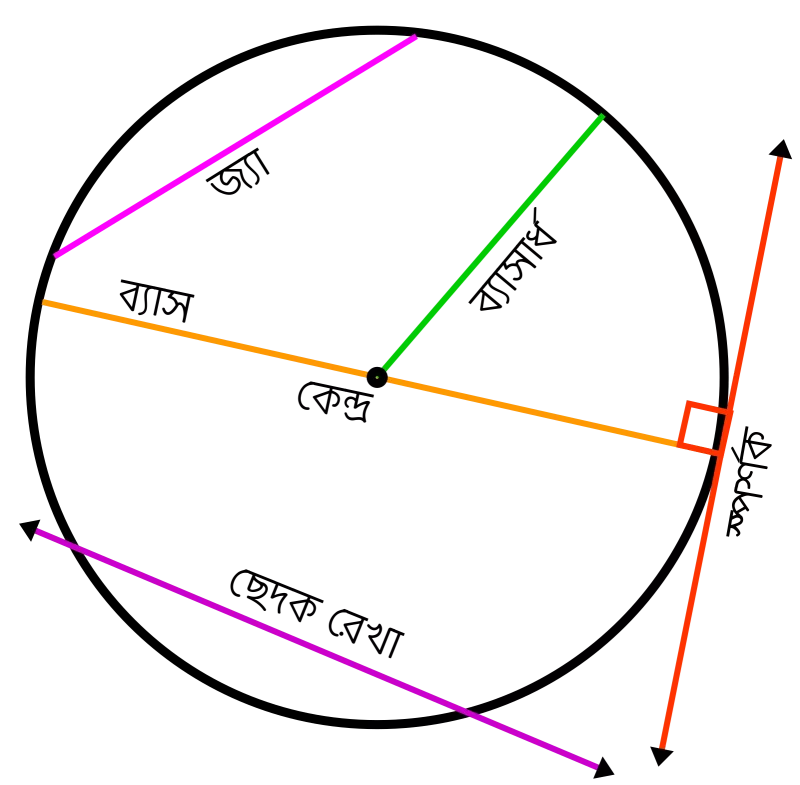 article