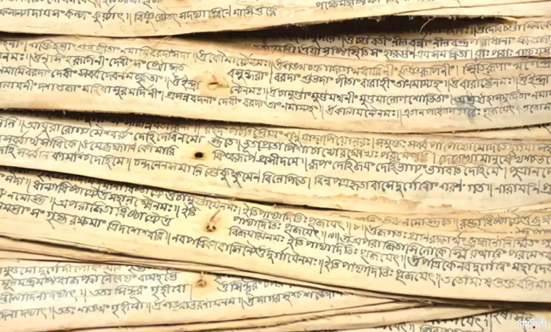 article