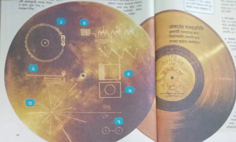article