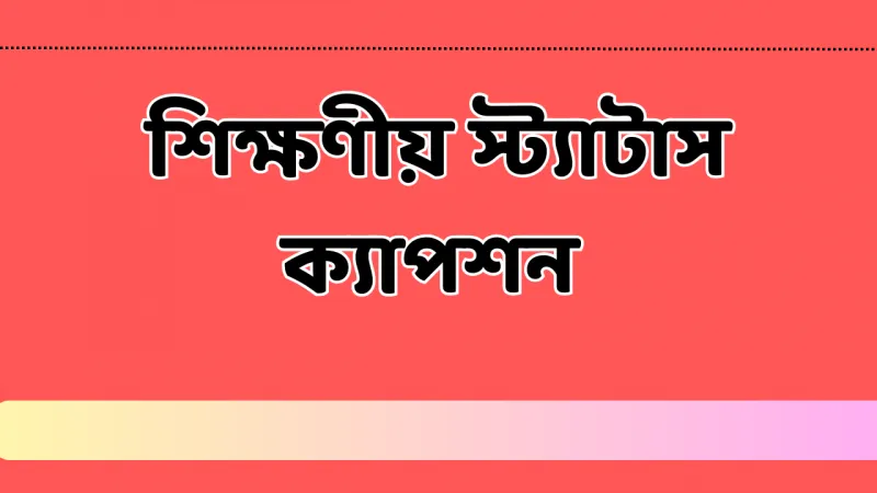 article