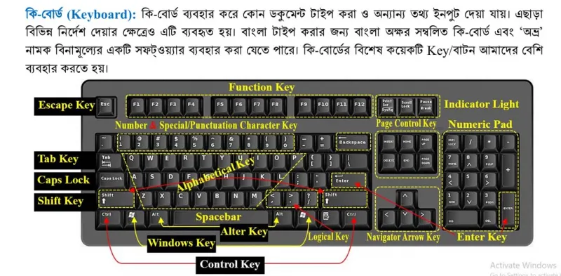 article