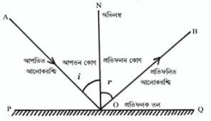 article