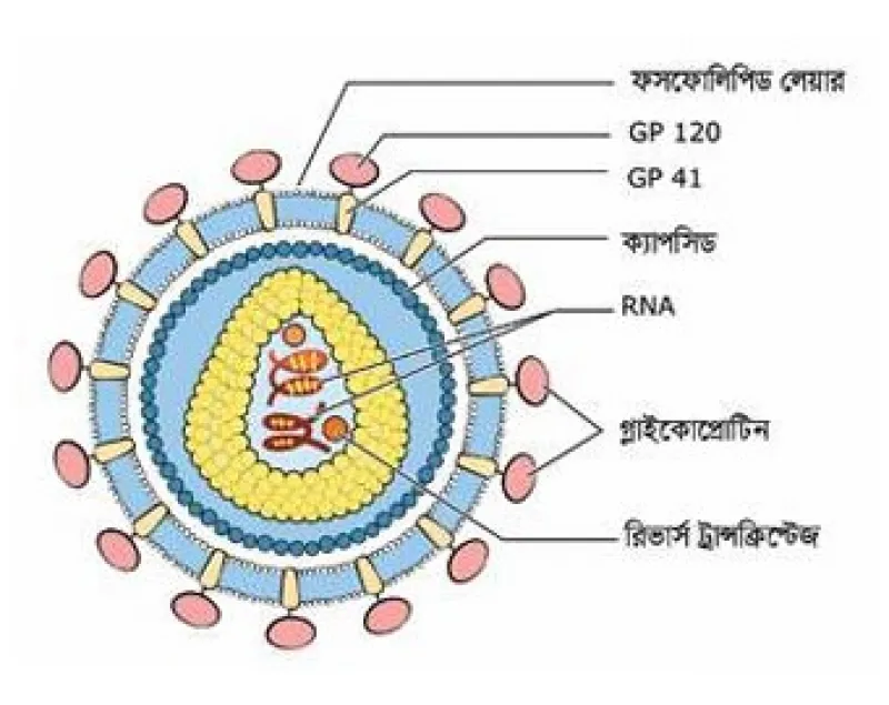 article