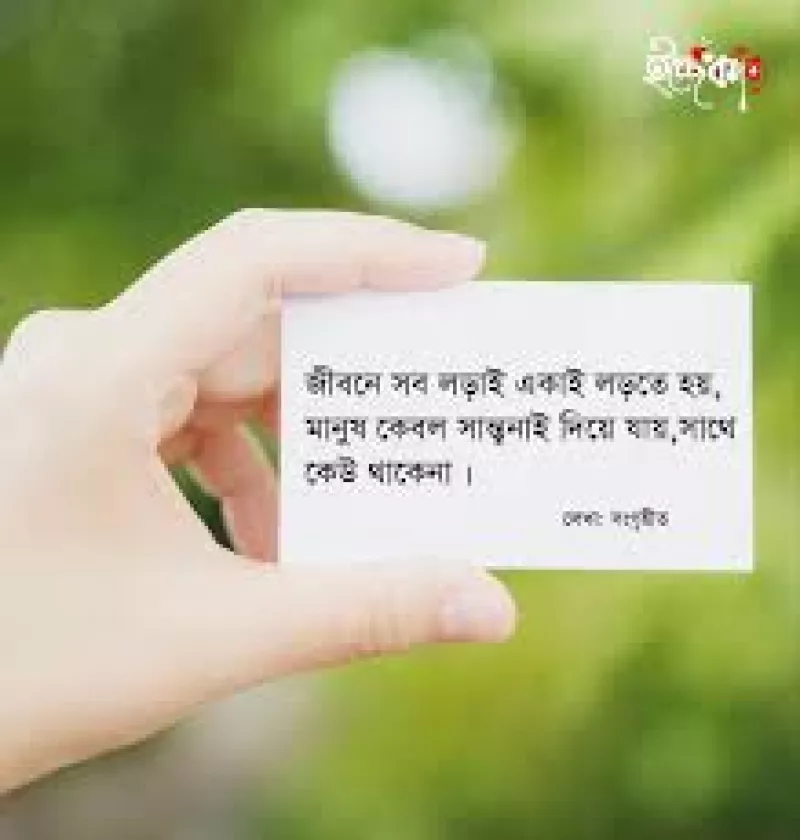 article