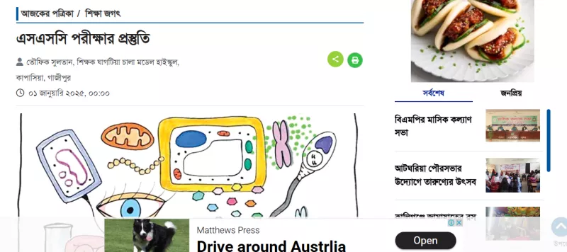article