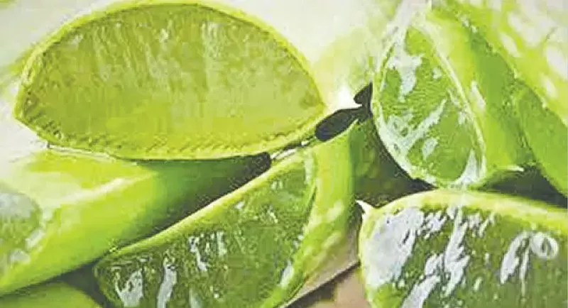 article