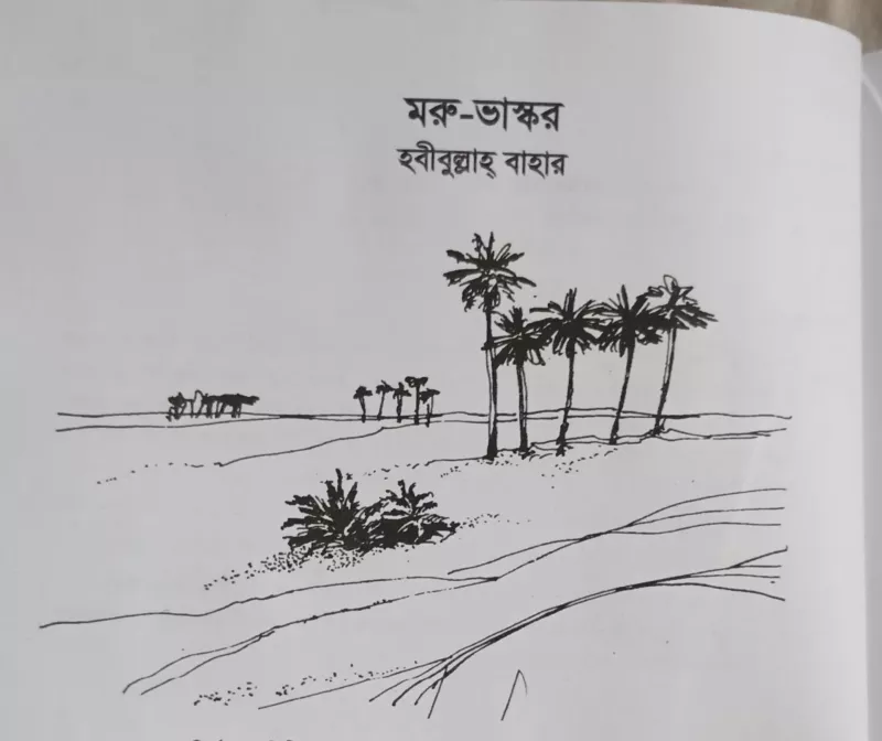 article