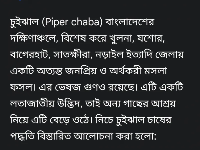 article