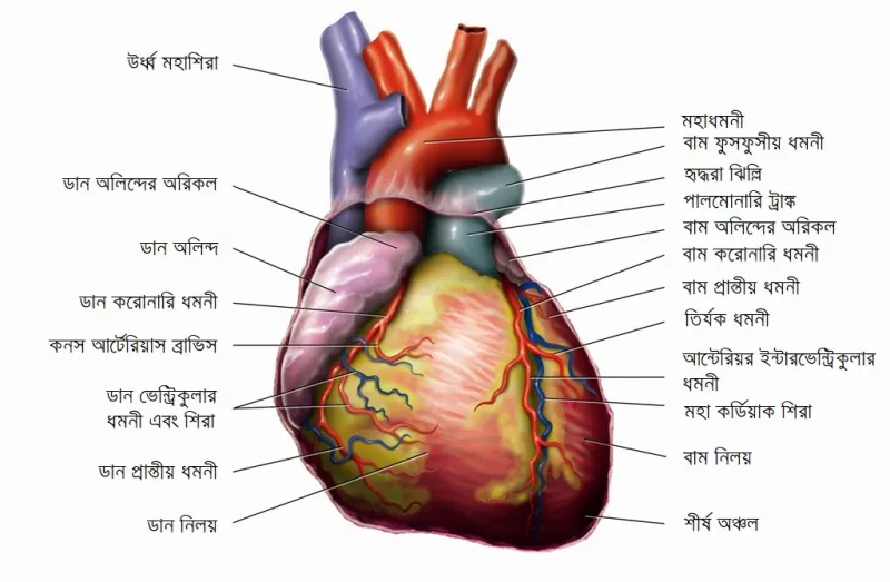 article