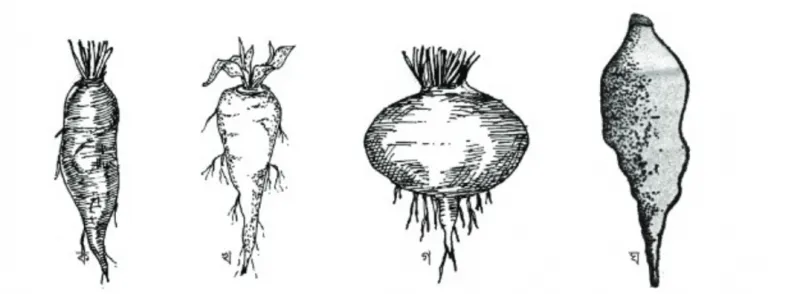 article