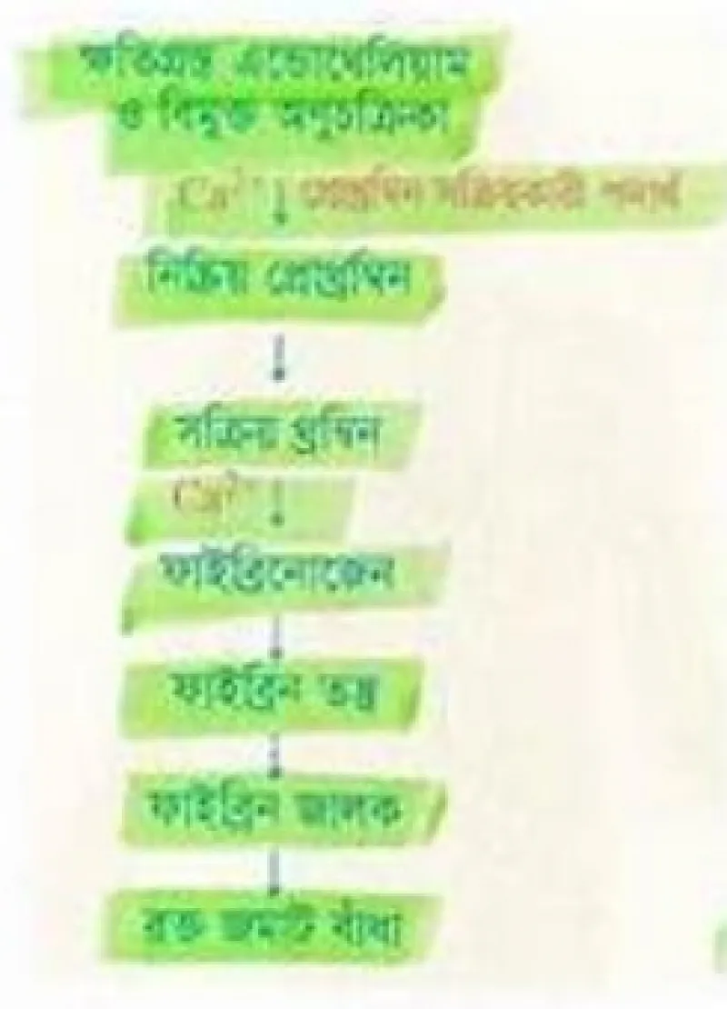 article