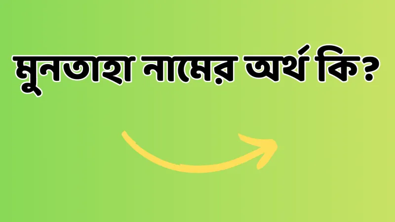article