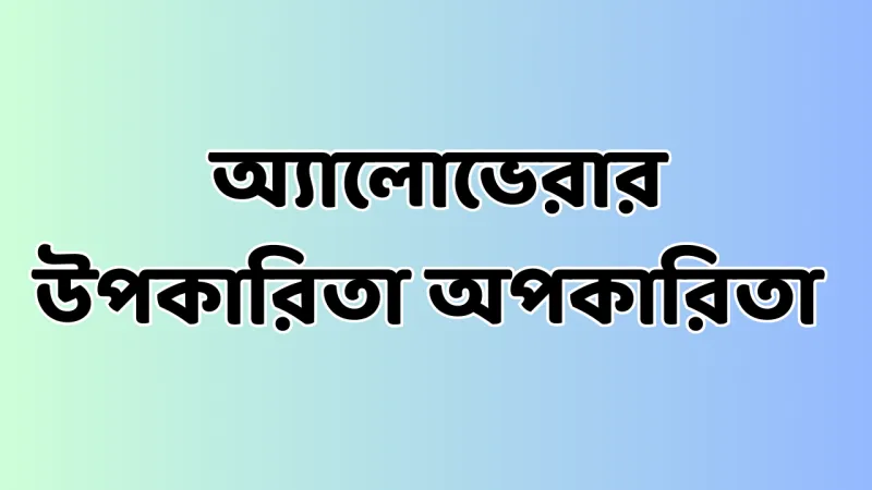 article