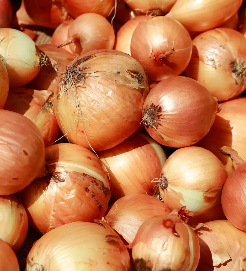 article