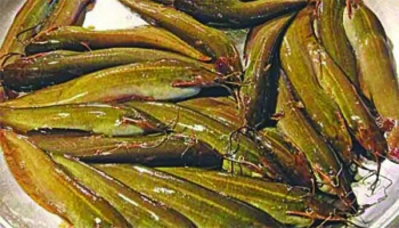 article