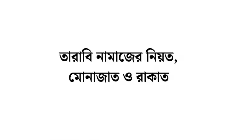 article