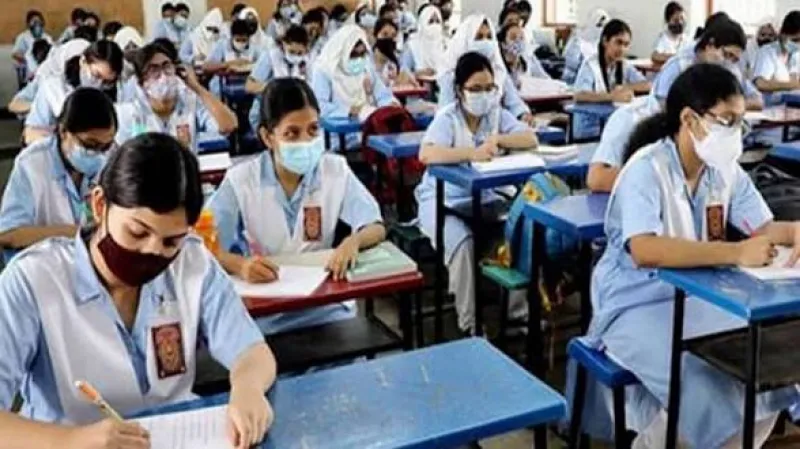 article