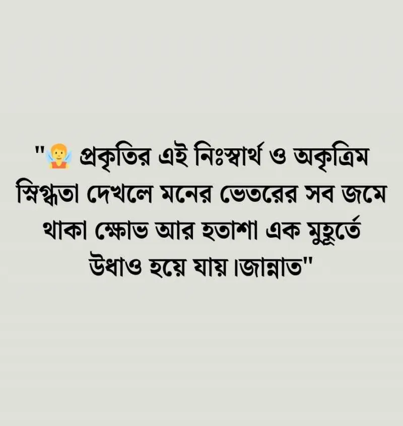 article