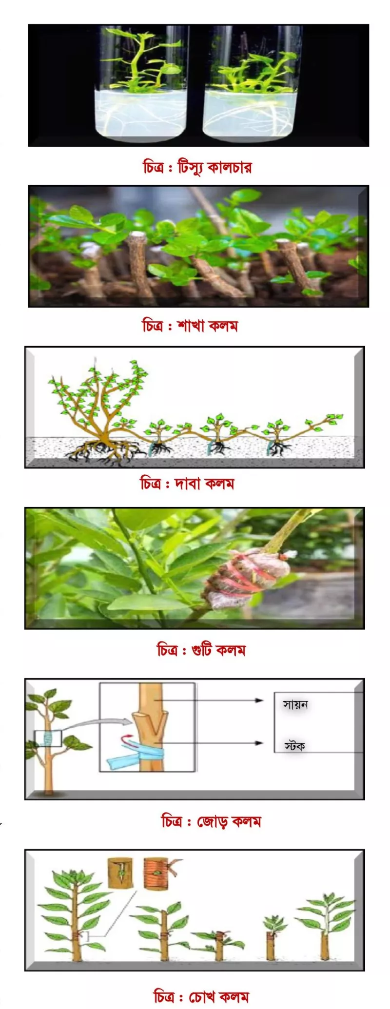 Google jinsiy aloqa quchoqlash rasmlar Eroziya, orgazmning cauterizatsiyasidan keyin