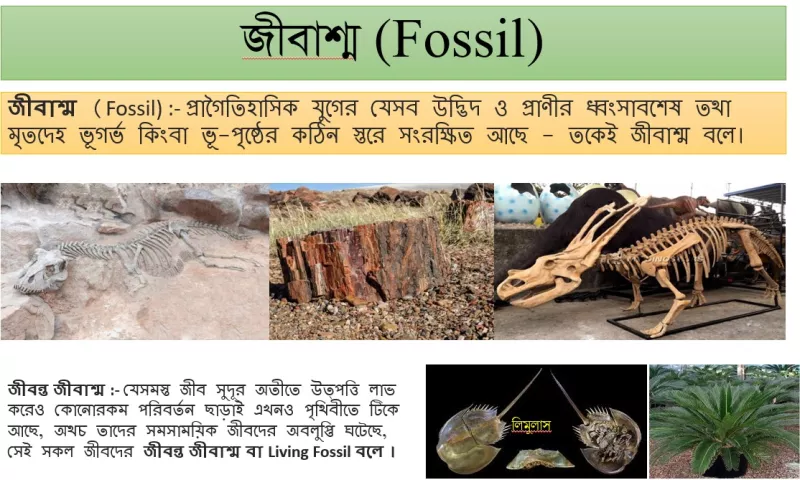 Yuliya Parshuta va erining toy fotosurati