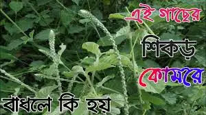 Erkaklar hojatxonasida siyayotgan erkaklar