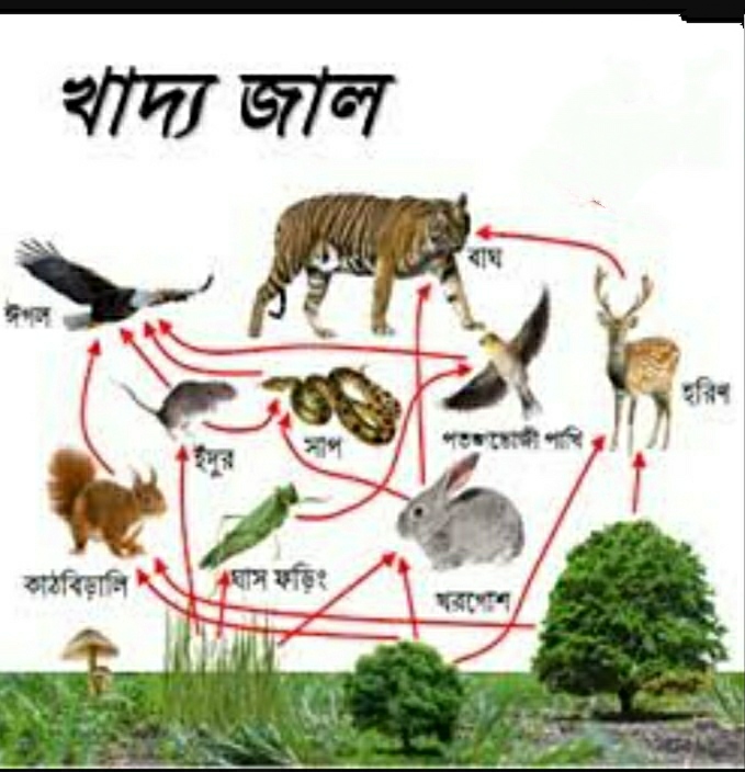 শিক্ষক বাতায়ন