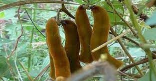 Kiyimdagi kelin porno onlayn Qattiq tranny porno