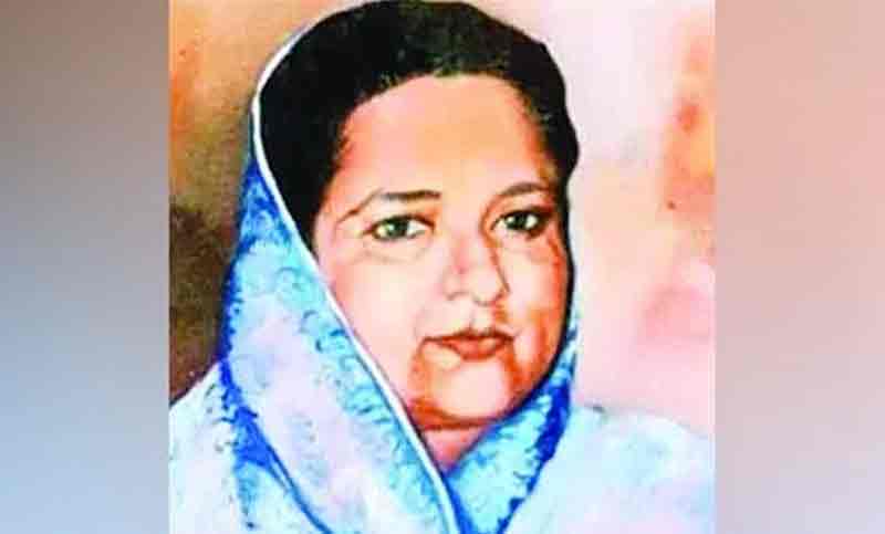 Mushuk fotosuratiga kesilgan suzish mayolari