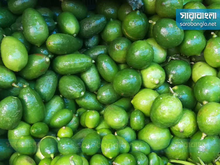 লেবুর উপকারিতা ও অপকারিতা: জানুন স্বাস্থ্য রহস্যগুলি!