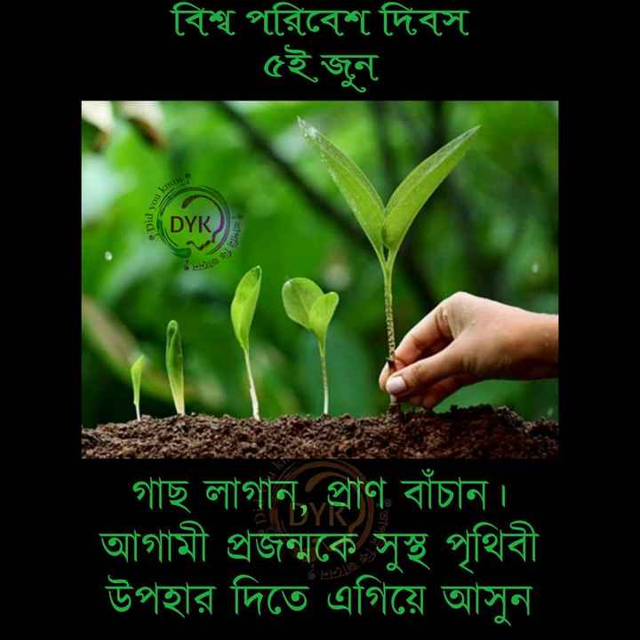 Homilador xotin bilan jinsiy aloqa (xususiy)