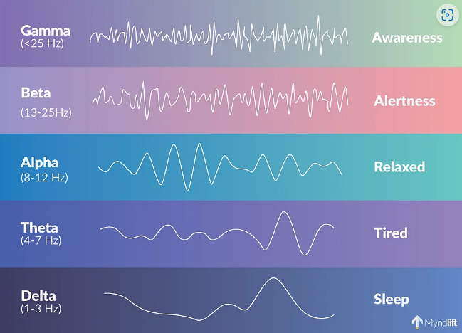 Singlimni jinsiy aloqa qilish uchun oldim